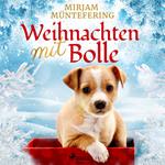 Weihnachten mit Bolle