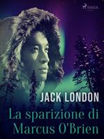 La sparizione di Marcus O'Brien