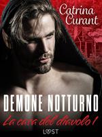 La casa del diavolo 1: Demone notturno – serie erotica