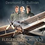 Fliegergeschichten 1-3