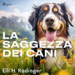 La saggezza dei cani