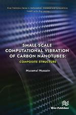 Small-scale Computational Vibration of Carbon Nanotubes: Composite Structure