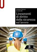 Lineamenti di diritto della sicurezza sul lavoro