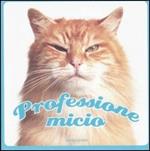 Professione micio