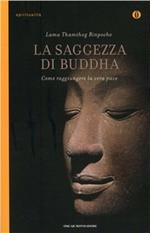 La saggezza di Buddha. Come raggiungere la vera pace