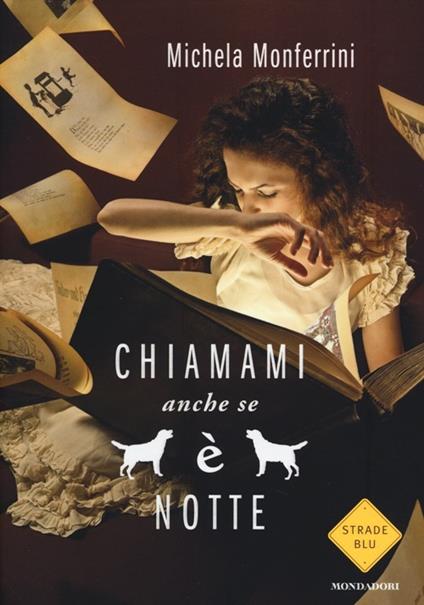 Chiamami anche se è notte - Michela Monferrini - copertina