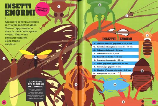 Focus Junior. Un mondo di record. La scienza come non l'avete mai vista: sfide, fatti, top 10 - 4