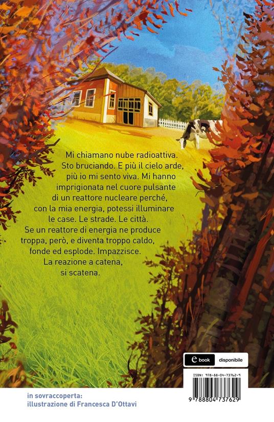 Quelle in cielo non erano stelle. Storia di un'amicizia ai tempi di Chernobyl - Nicoletta Bortolotti - 2