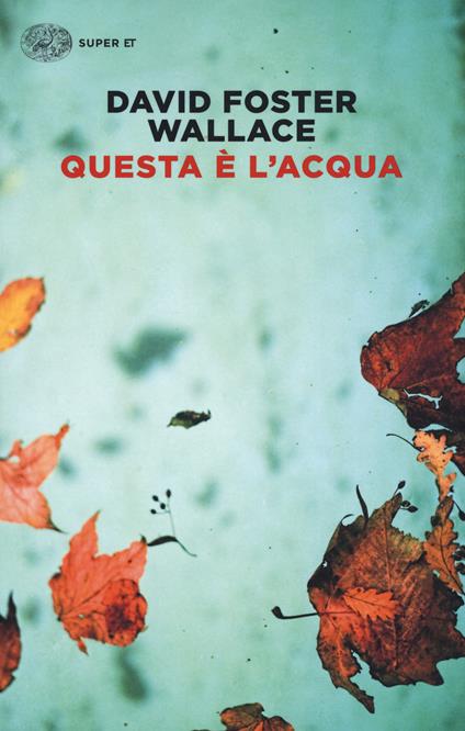 Questa è l'acqua - David Foster Wallace - copertina