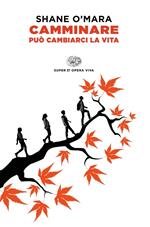 Camminare può cambiarci la vita