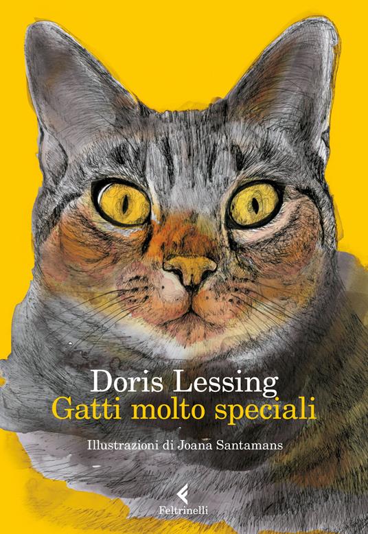 Gatti molto speciali - Doris Lessing - copertina