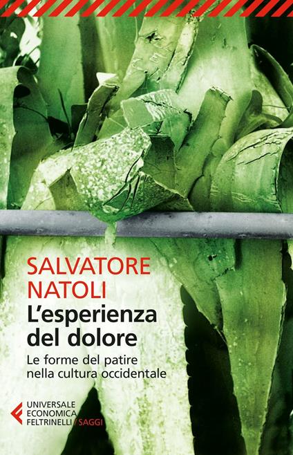 L'esperienza del dolore. Le forme del patire nella cultura occidentale - Salvatore Natoli - copertina