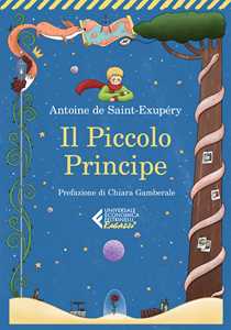 Libro Il Piccolo Principe Antoine de Saint-Exupéry