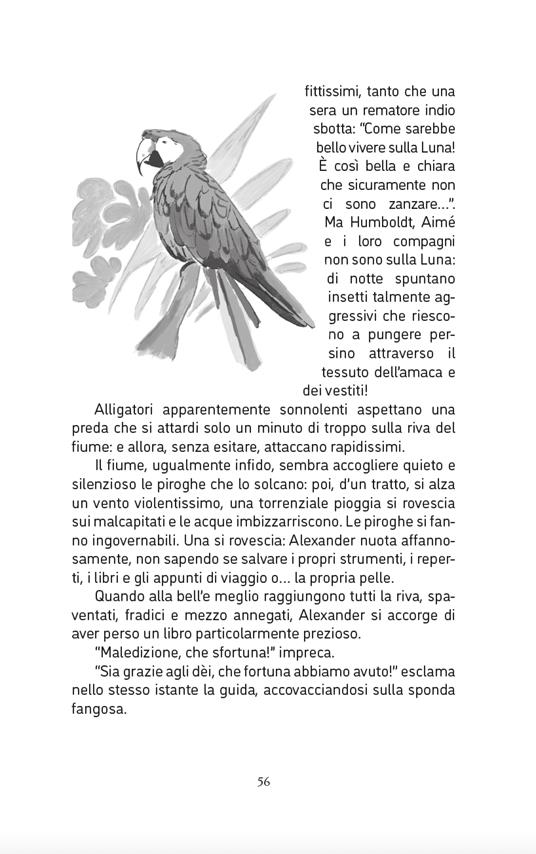 Il bis-bis nonno di Greta Thunberg. Alla scoperta di Alexander Von Humbold, l'inventore dell'ecologia - Paolo Colombo,Anna Simioni - 6