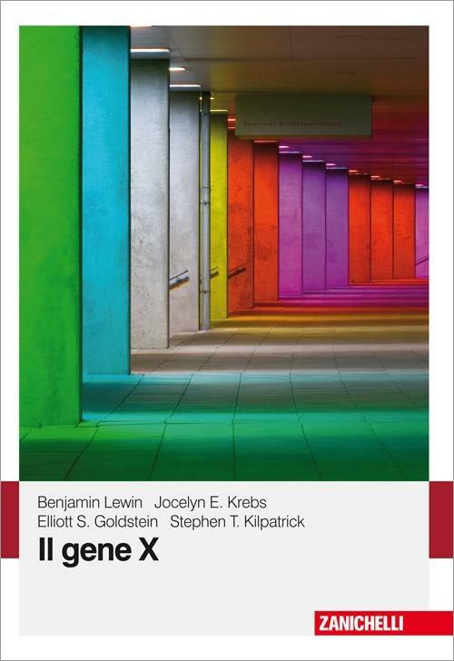 Il gene X - 3