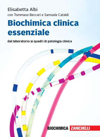 Biochimica clinica essenziale. Dal laboratorio ai quadri di patologia clinica. Con Contenuto digitale per accesso on line: espansione online - Elisabetta Albi,Tommaso Beccari,Samuela Cataldi - copertina