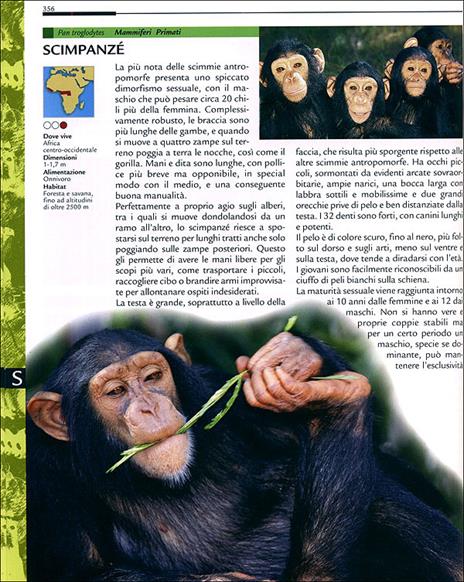 Grande dizionario illustrato degli animali. Ediz. illustrata - Emanuela Busà - 3