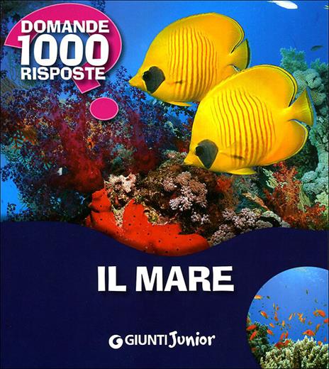 Il mare - Paola Fabris - copertina