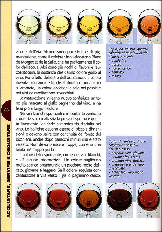 Passione vino. Sceglierlo, servirlo e degustarlo. Con ricette e abbinamenti - 2