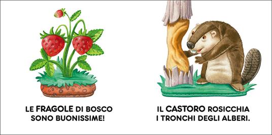 Bosco. Ediz. illustrata - Matt Wolf - 2