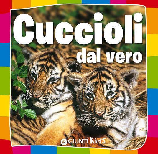 Cuccioli dal vero - Paola Fabris - copertina