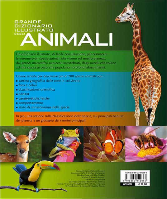 Grande dizionario illustrato degli animali - Emanuela Busà - 2