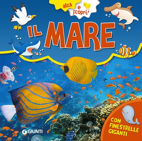 Il mare. Ediz. a colori - Gianna Porciatti - copertina