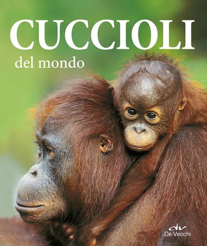 Cuccioli del mondo. Ediz. illustrata - Ulrike Schöber - copertina