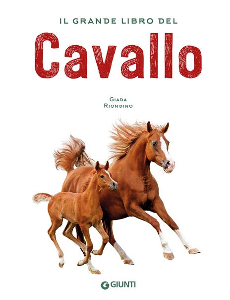 Il grande libro del cavallo. Nuova ediz. - Giada Riondino - 6