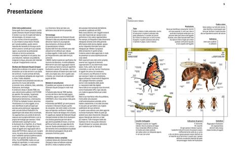 Dizionario visuale. Italiano-inglese - Jean-Claude Corbeil - Ariane  Archambault - - Libro - Giunti Editore - Dizionari e repertori