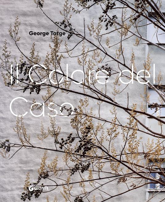 George Tatge. Il colore del caso - copertina