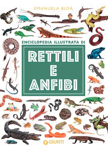 Enciclopedia illustrata di rettili e anfibi. Ediz. a colori - Emanuela Busà - copertina