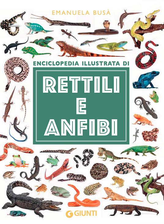 Enciclopedia illustrata di rettili e anfibi. Ediz. a colori - Emanuela Busà - copertina