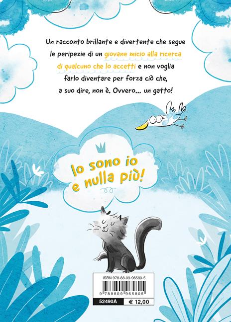 Non sono un gatto! - Andrea Valente - 6