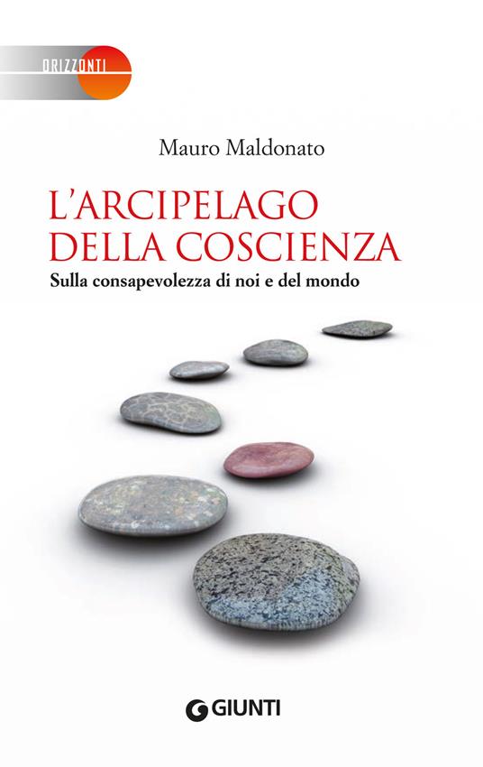 L' arcipelago della coscienza. Sulla consapevolezza di noi e del mondo - Mauro Maldonato - ebook