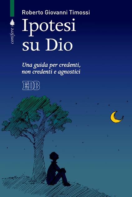 Ipotesi su Dio. Una guida per credenti, non credenti e agnostici - Roberto Giovanni Timossi - ebook