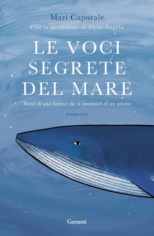 lupetto al mare - Libreria del Mare