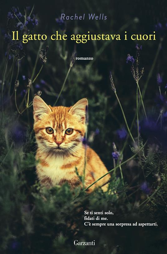Il gatto che aggiustava i cuori - Wells, Rachel - Ebook - EPUB2 con Adobe  DRM | Feltrinelli