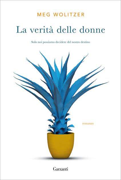 La verità delle donne - Meg Wolitzer - copertina