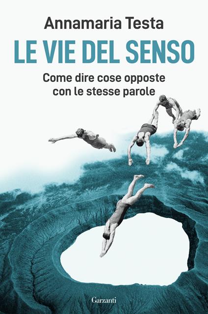 Le vie del senso - Annamaria Testa - copertina