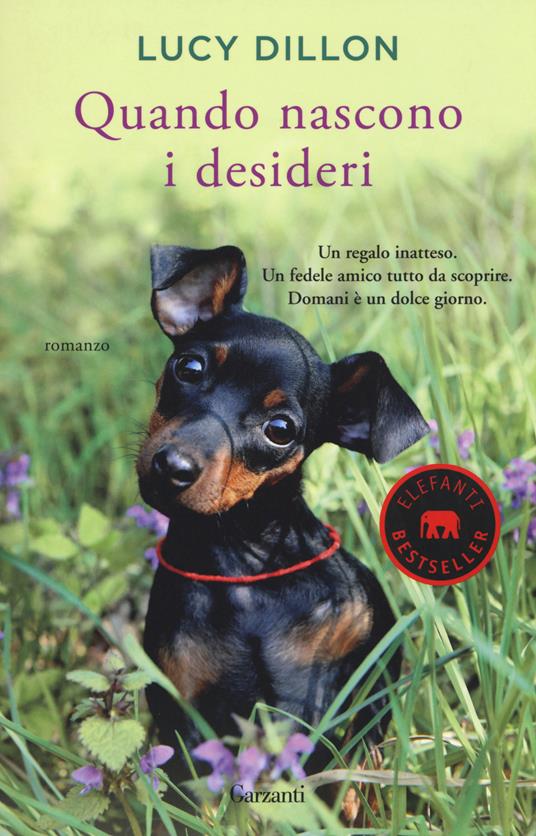 Quando nascono i desideri - Lucy Dillon - copertina