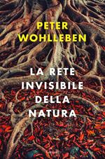 La rete invisibile della natura