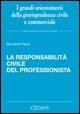 La responsabilità civile del professionista