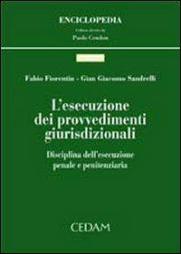 L'esecuzione dei provvedimenti giurisdizionali. Disciplina dell'esecuzione penale e finanziaria - Fabio Fiorentin,G. Giacomo Sandrelli - copertina