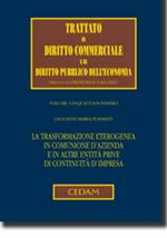 La trasformazione eterogenea in comunione d'azienda e in altre entità prive di continuità d'impresa