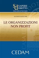 Le organizzazioni non profit