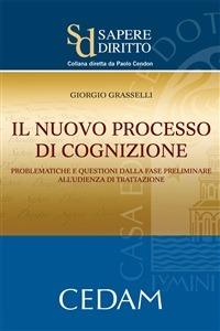 Il nuovo processo di cognizione. Problematiche e questioni dalla fase preliminare all'udienza di trattazione - Giorgio Grasselli - ebook