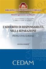 L' addebito di responsabilità nella separazione. Profili civili e penali