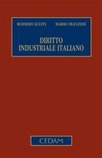 Diritto industriale italiano: Diritto sostanziale-Diritto procedimentale e processuale