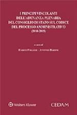 I principi vincolanti dell'adunanza plenaria del Consiglio di Stato sul codice del processo amministrativo (2010-2015)